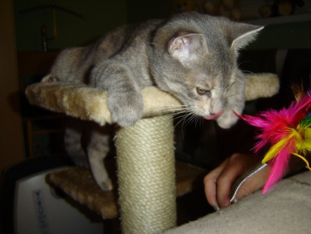 Moja večera či čo?? Daj sem!!!